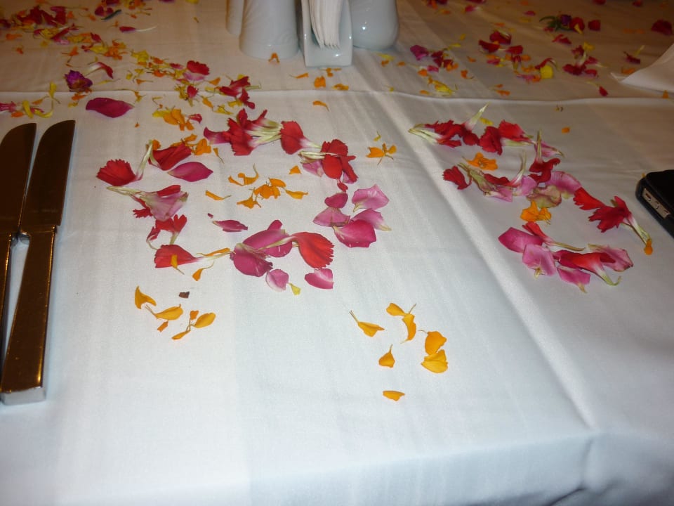 Sehr Schön Hotel Delphin Imperial