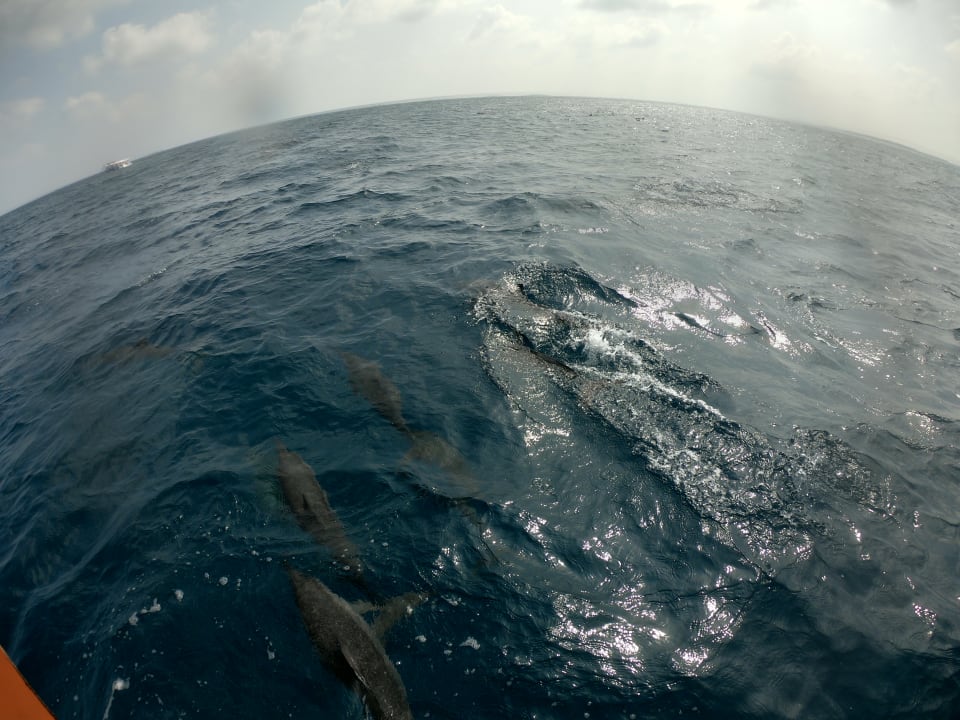 Sport & Freizeit Adaaran Select Meedhupparu Island Resort - Premium All Inclusive