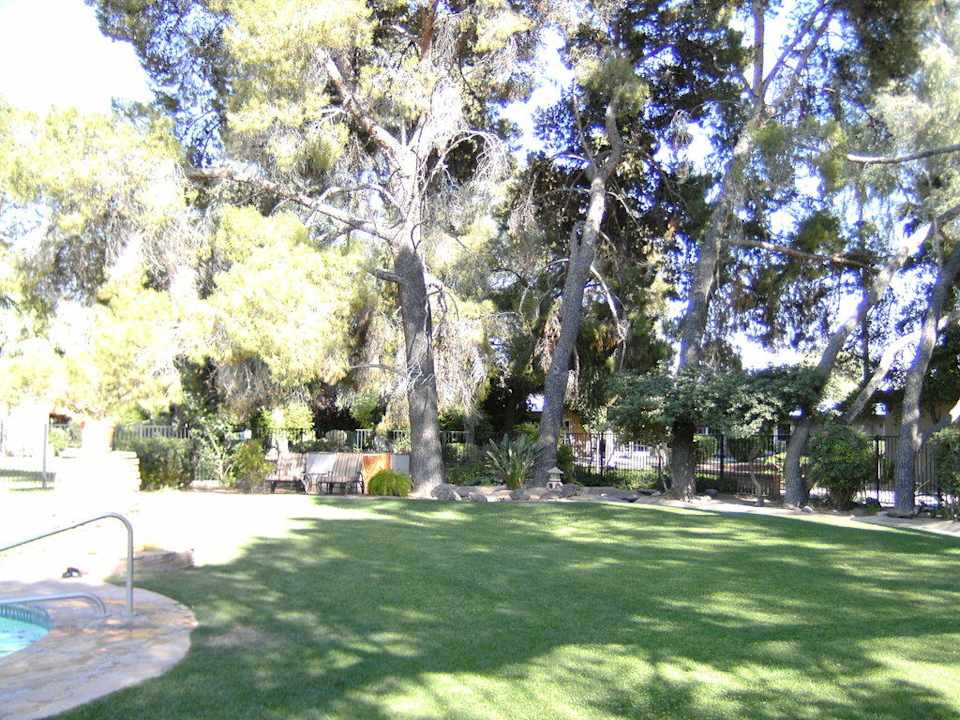 Blick in den Garten vom Pool aus Hotel Smoke Tree Resort and Bungalows