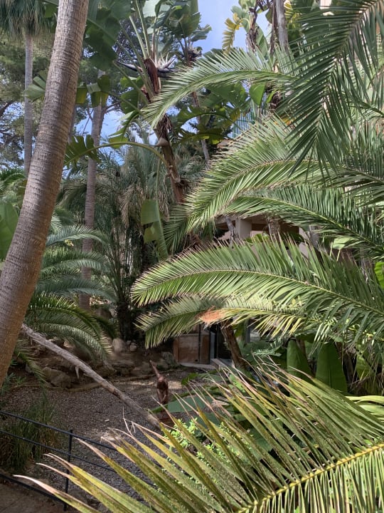 Gartenanlage Lago Garden