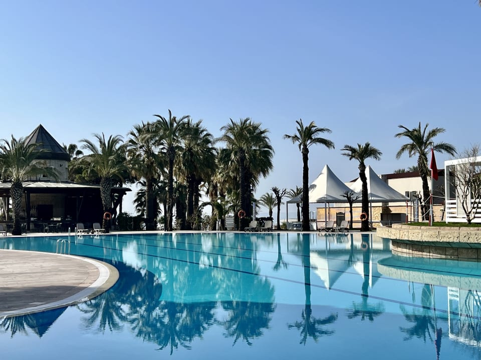 Pool Papillon Ayscha