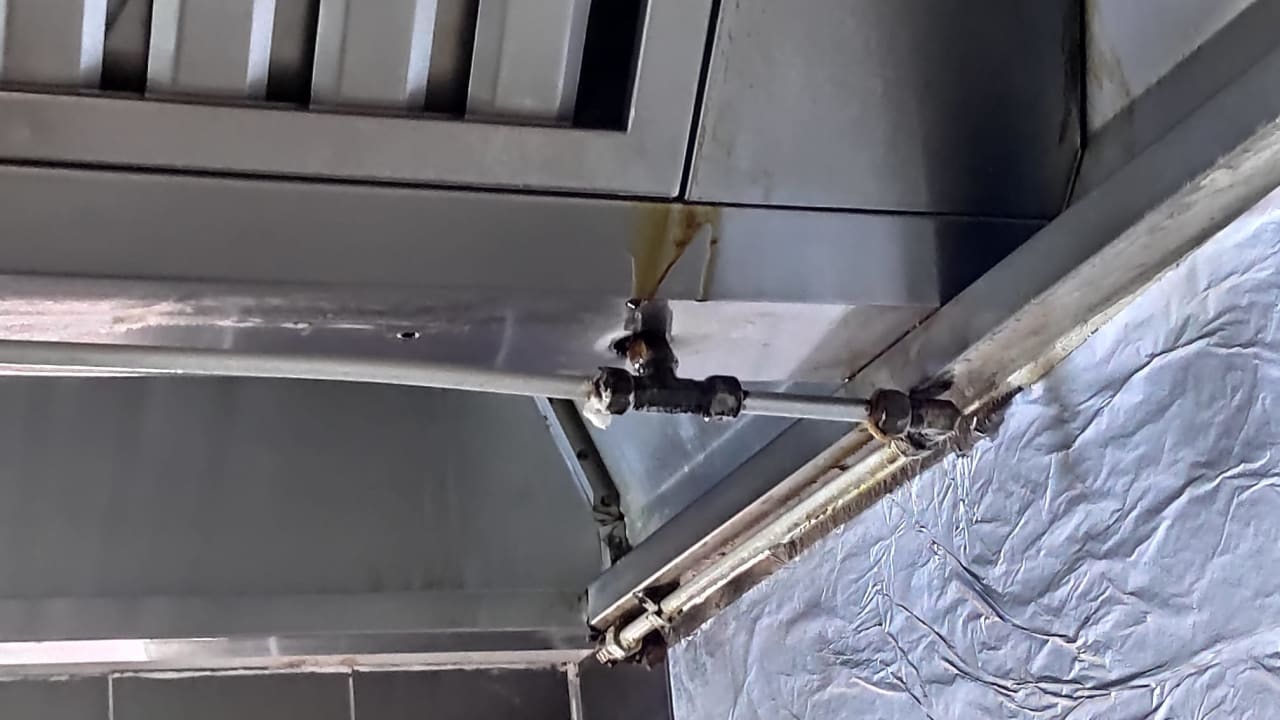 Gastro Asteria Collection Side