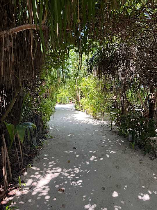 Gartenanlage Cocoon Maldives
