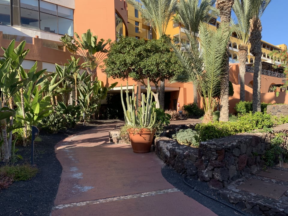 Gartenanlage Occidental Jandía Royal Level - Adults only