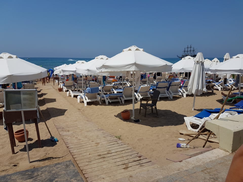 Princess sealine beach hotel. Prenses Sealine Beach. Prenses Sealine Beach Hotel Турция. Side Prenses Resort & Spa 5* пляж. Prenses Sealine Beach Hotel 4*.