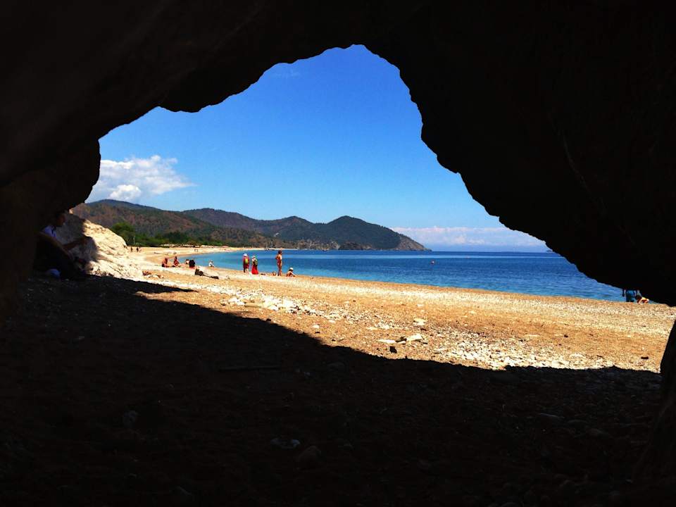 Beach Hostel Kadir's Top Tree Houses