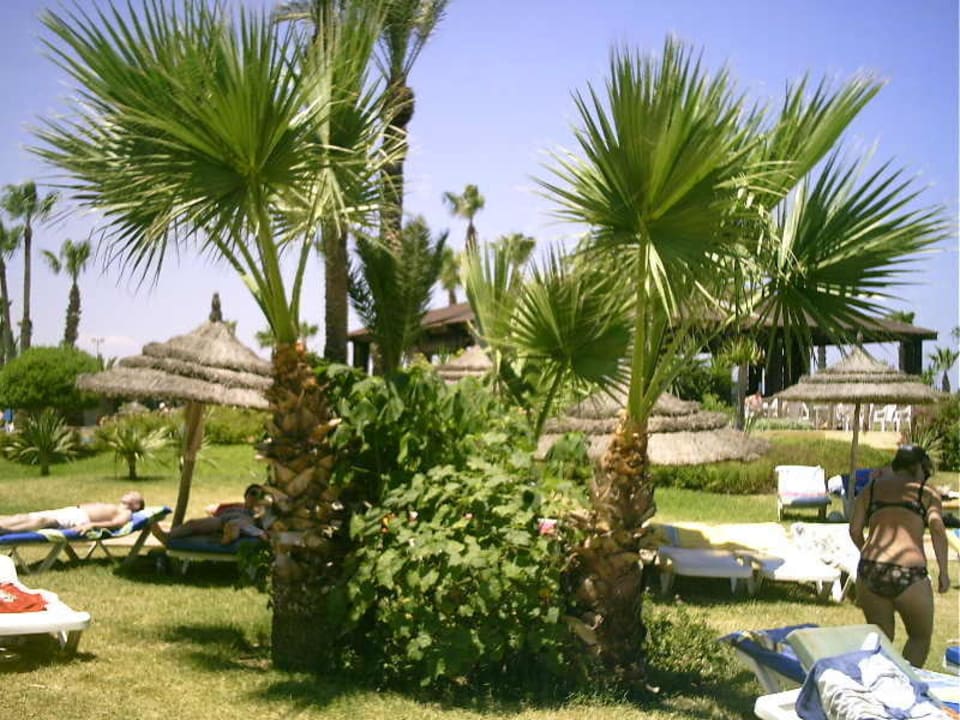 auf den Liegewiesen Sahara Beach Aquapark & Resort
