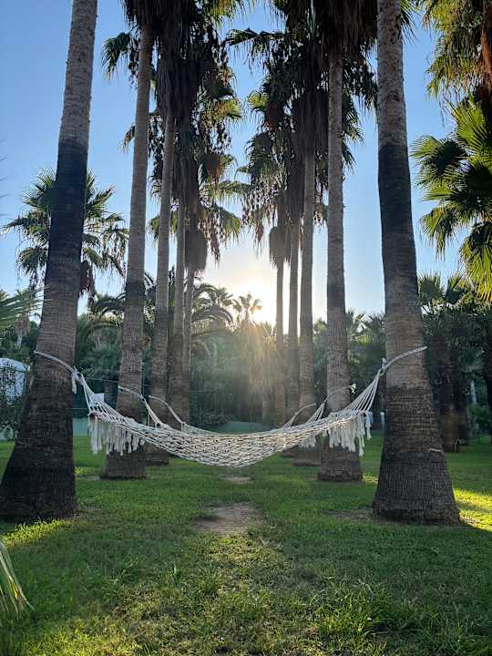 Gartenanlage Royal Atlantis Beach Hotel