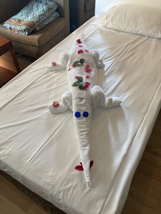 Zimmer Seaden Sea World Resort & Spa