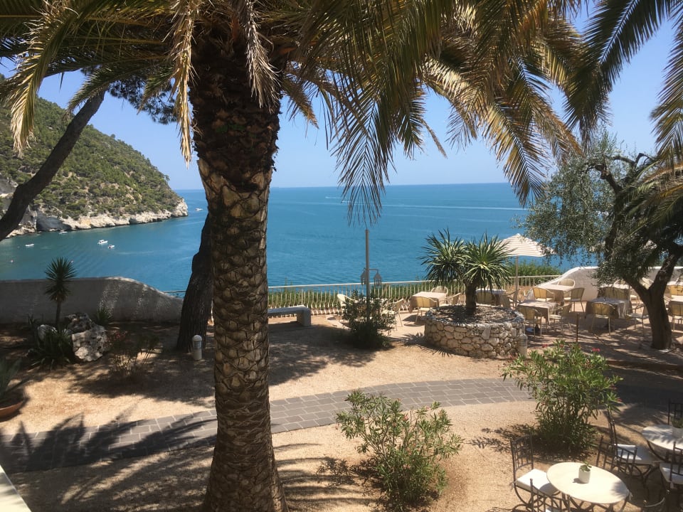 Ausblick Hotel Baia Delle Zagare
