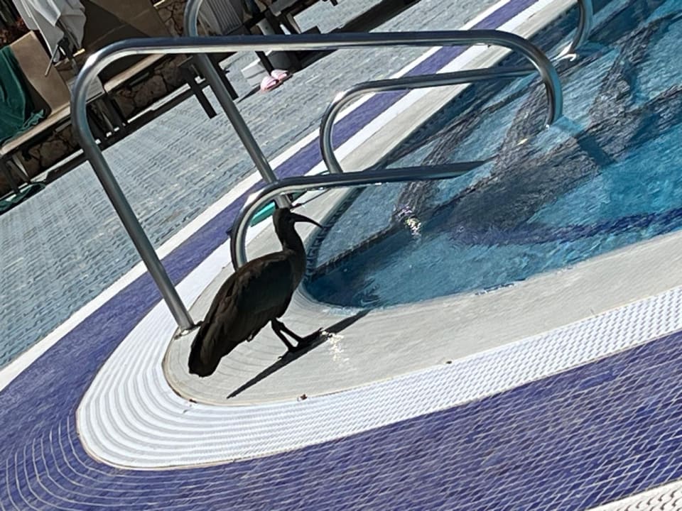 Pool MUR Hotel Faro Jandia & Spa Fuerteventura