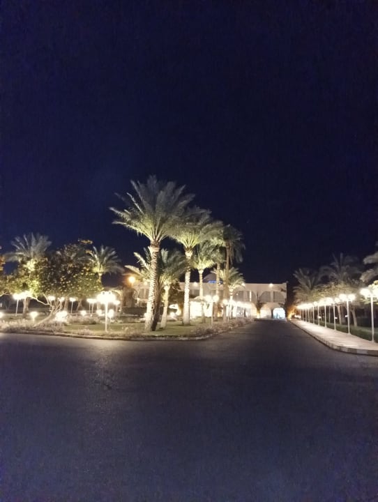 Außenansicht Desert Rose