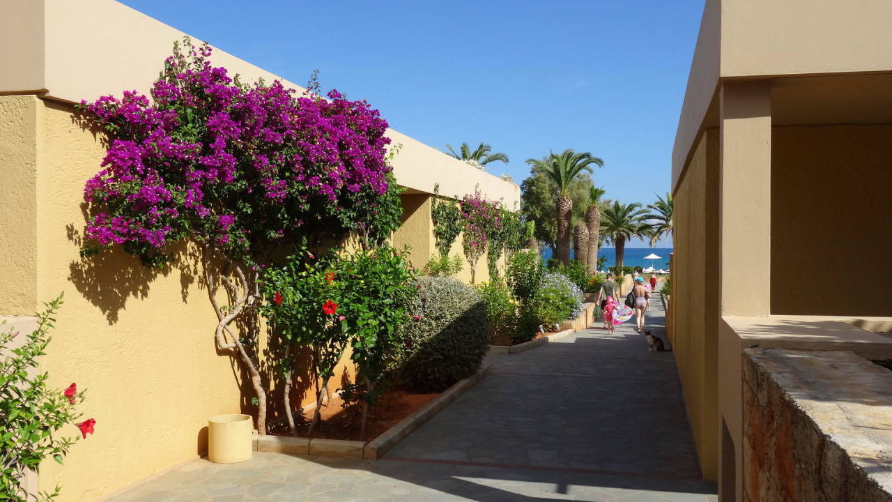 Blick vom Hauptgebäude Richtung Garten und Strand Kernos Beach Hotel & Bungalows