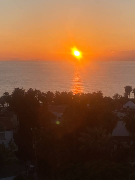 Zimmer Side Star Elegance