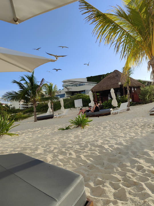 Strand TRS Coral Hotel - Adults Only