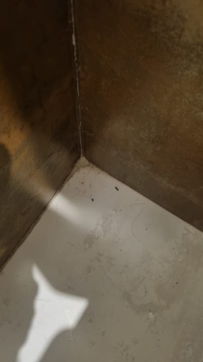 Zimmer Protur Palmeras Playa Aparthotel