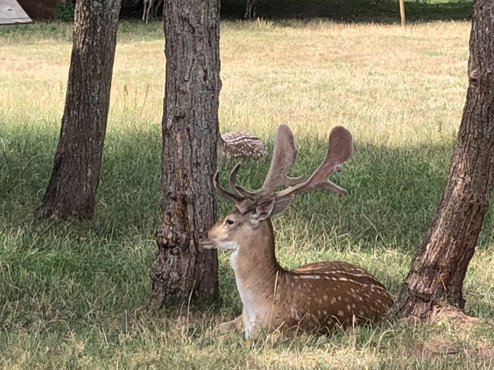 Ausblick Hotel-Landgasthof Oberschnorrhof