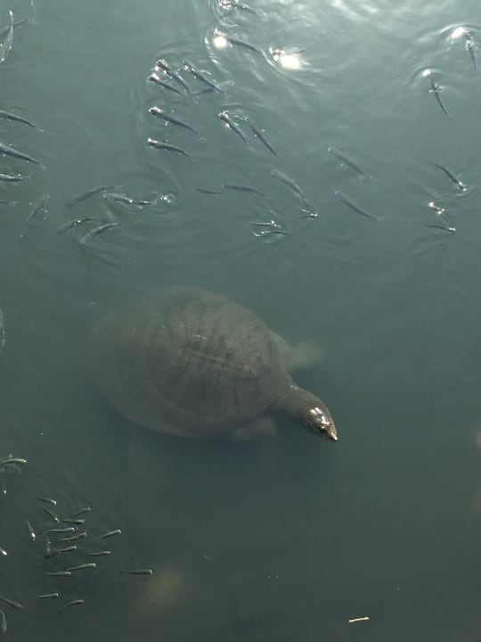 Sport & Freizeit Seher Sun Palace Resort & Spa