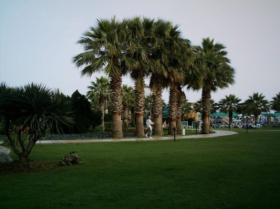 Hotel-Umgebung Megasaray Club Belek