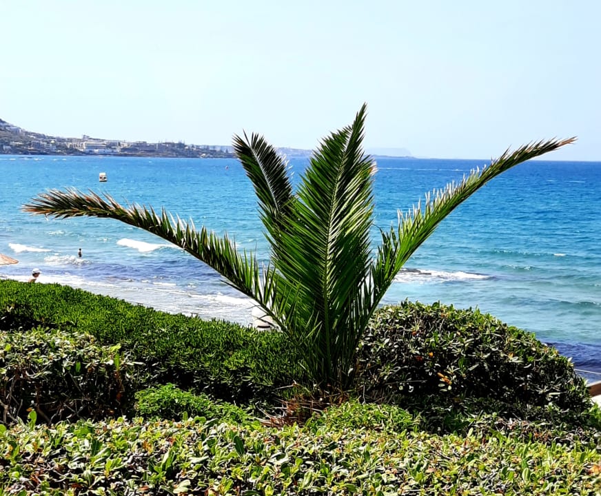 Gartenanlage Alexander Beach Hotel & Village Resort