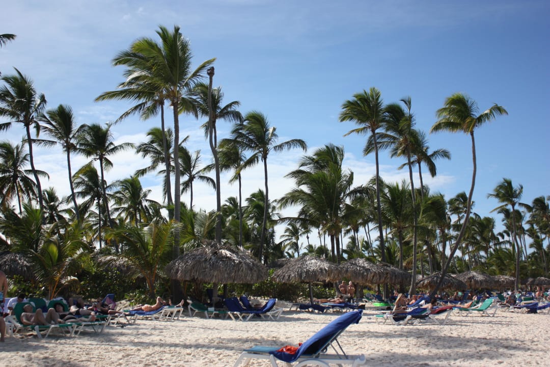 Strand mit Liegen und Natur-Schirmen unter Palmen Grand Palladium Select Bávaro Resort & Spa