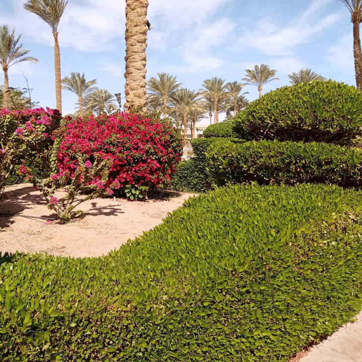 Gartenanlage Cleopatra Luxury Resort Makadi Bay