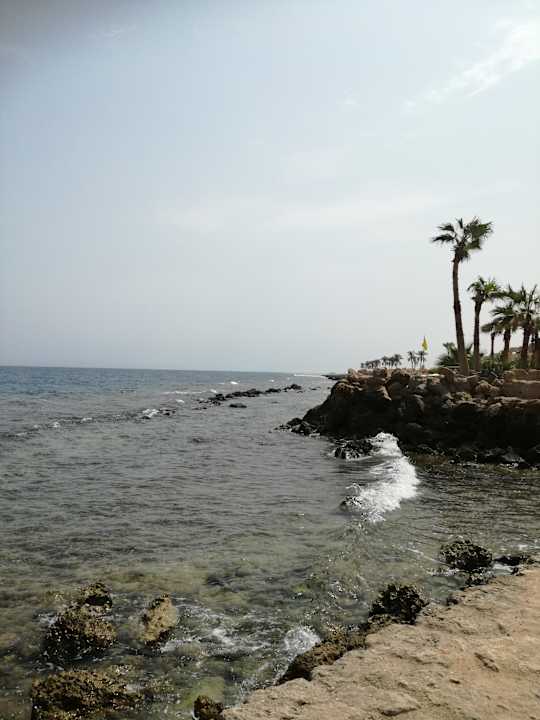 Strand Pickalbatros Citadel Resort