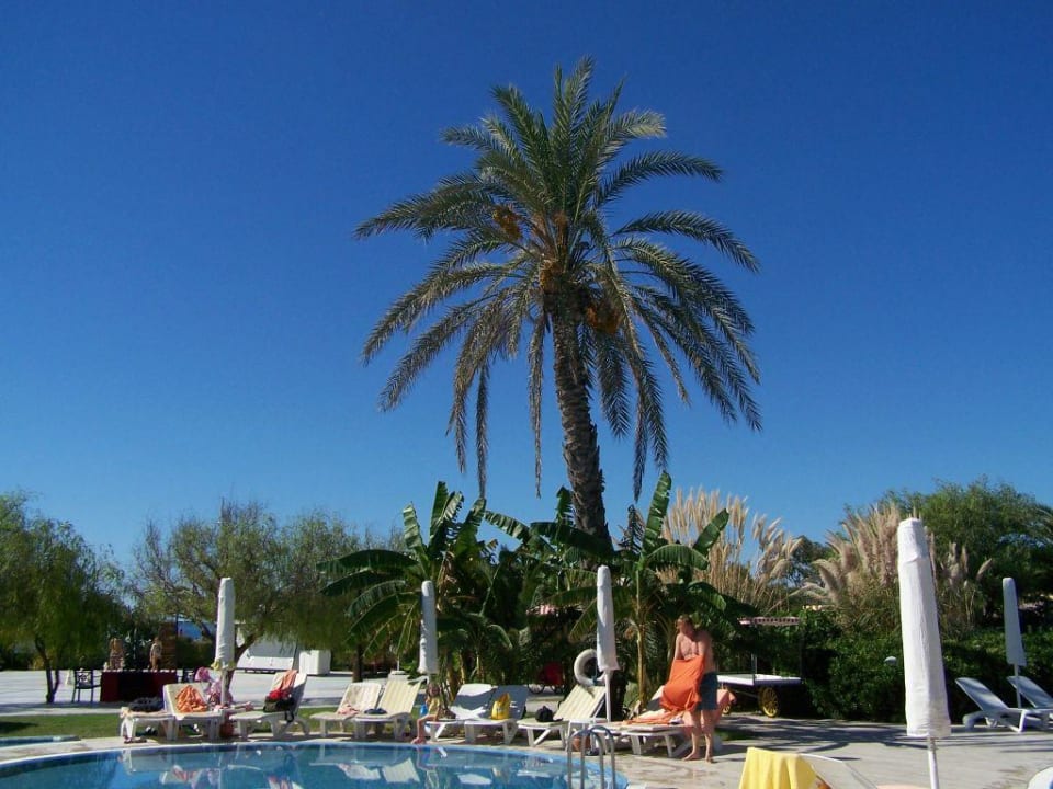 Poollandschaft Sunrise Resort Hotel