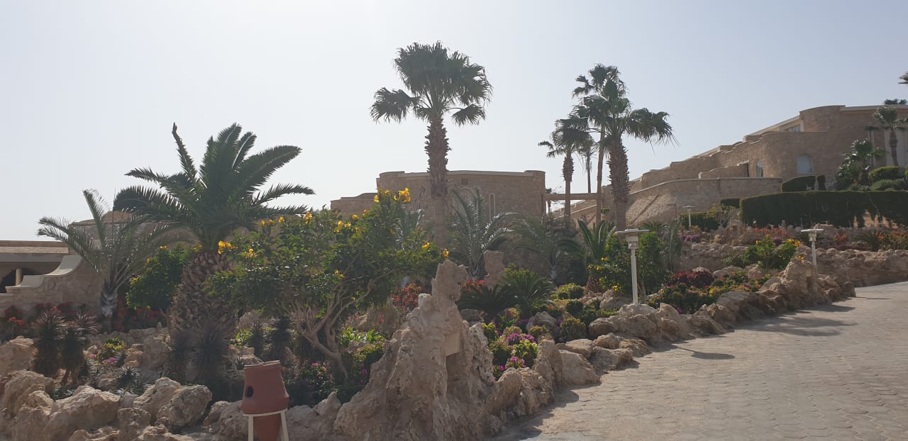 Gartenanlage Pickalbatros Citadel Resort