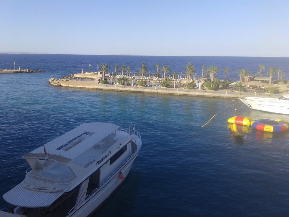 Вид из окна номера Pickalbatros Citadel Resort