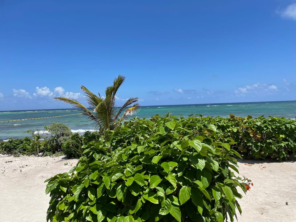 Ausblick Akumal Bay Beach & Wellness Resort