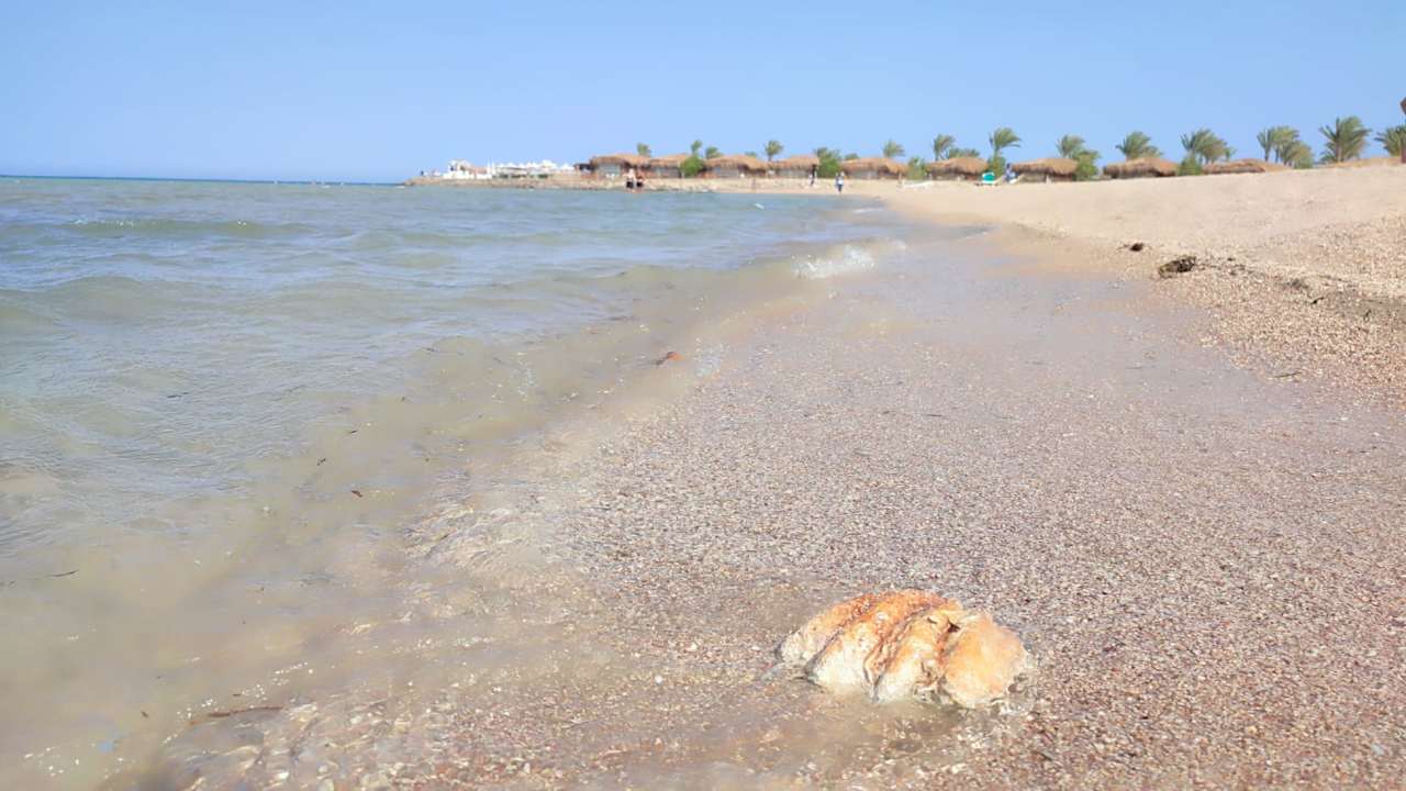 Strand Stella Beach Resort & Spa Makadi Bay