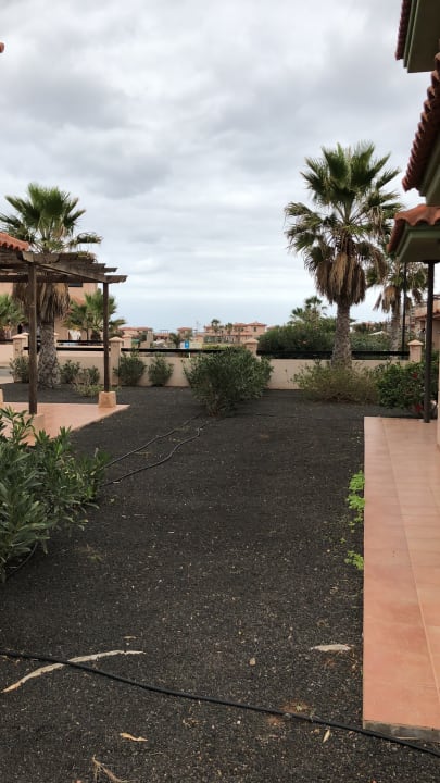 Gartenanlage Pierre & Vacances Fuerteventura Origo Mare Resort