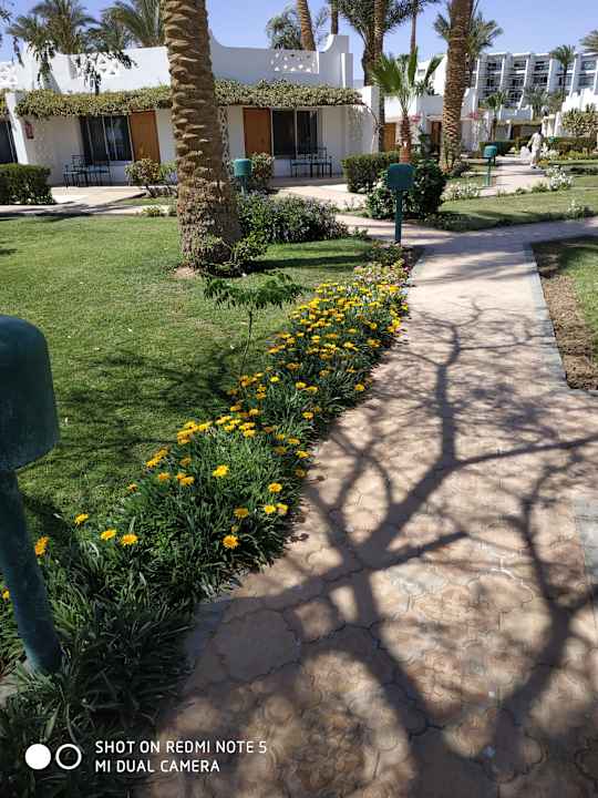 Gartenanlage Shams Safaga Resort
