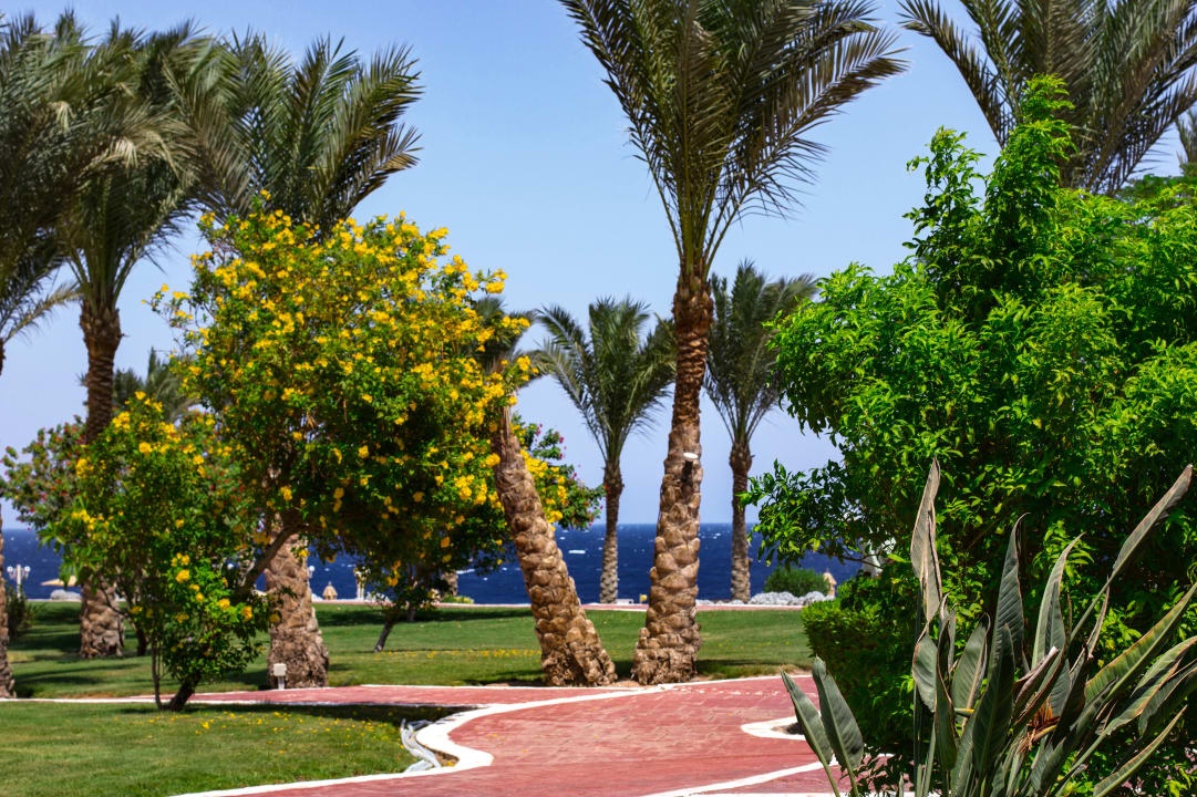 Ausblick Serenity Alpha Beach