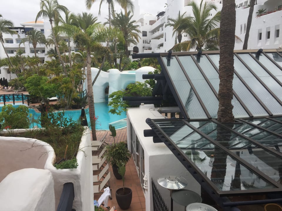 Pool Dreams Jardín Tropical