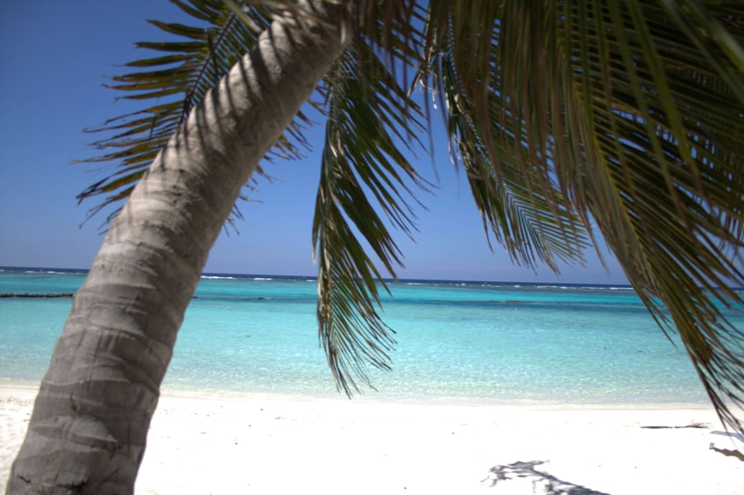 SW seite Summer Island Maldives