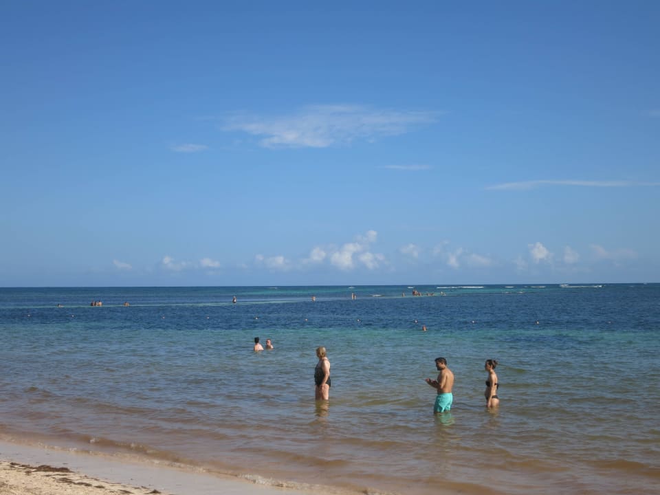 Strand ist ruhig keine Wellen aber viel Wind  Catalonia Punta Cana - All Inclusive