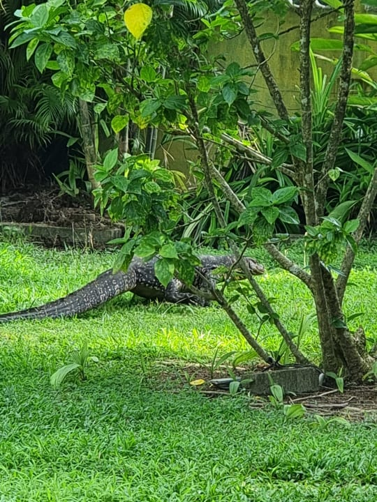 Gartenanlage Pahalage Guesthouse