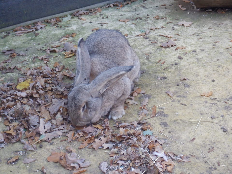 Sport & Freizeit Center Parcs De Kempervennen