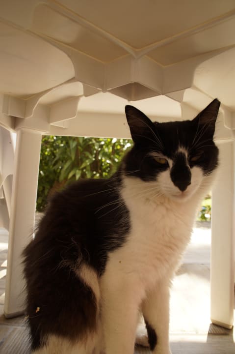 Sonstiges Aydinbey Kings Palace & Spa