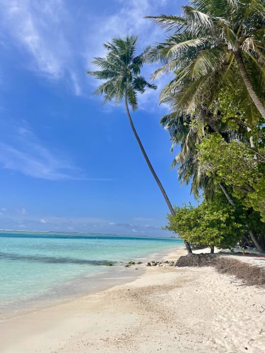 Außenansicht Meeru Maldives Resort Island