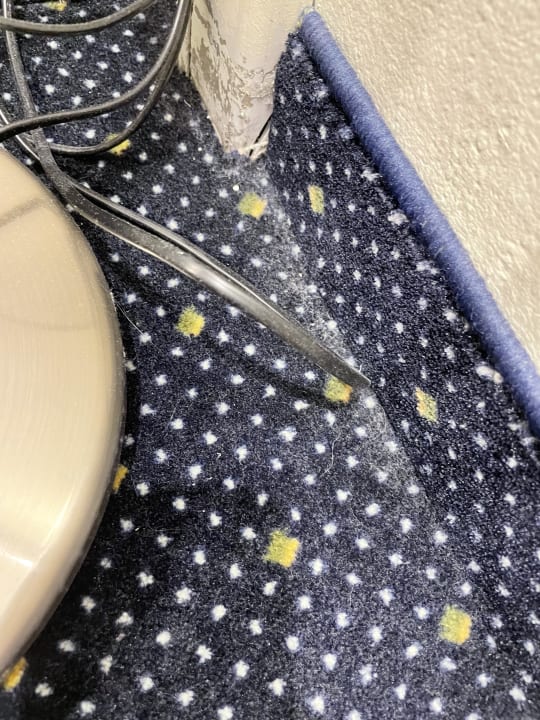 Zimmer AHORN Hotel Am Fichtelberg