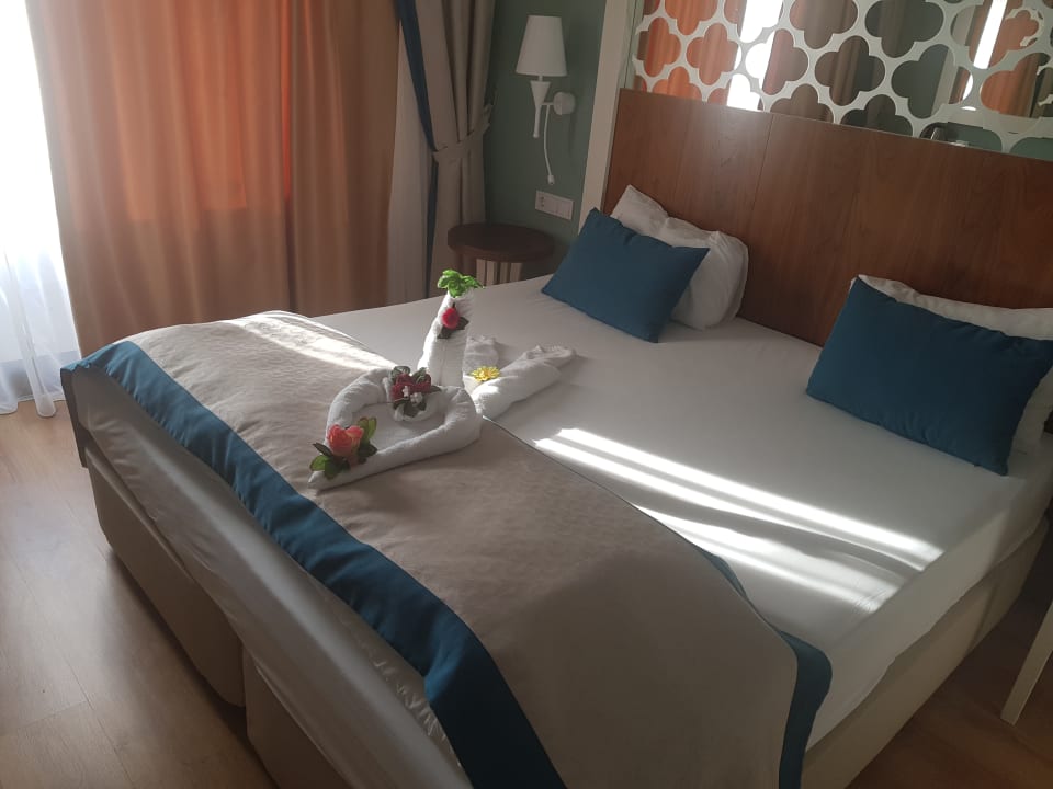 Zimmer Seashell Vega