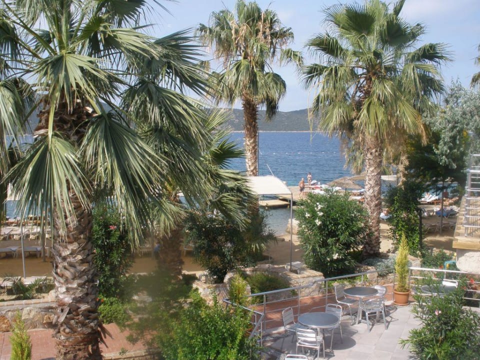 Teren zewnętrzny TUI MAGIC LIFE Bodrum - Adult Only (16+)