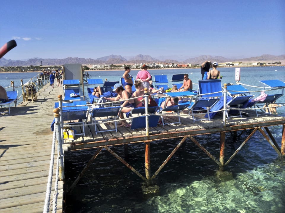 Strand Pickalbatros Royal Moderna Resort-Sharm El Sheikh