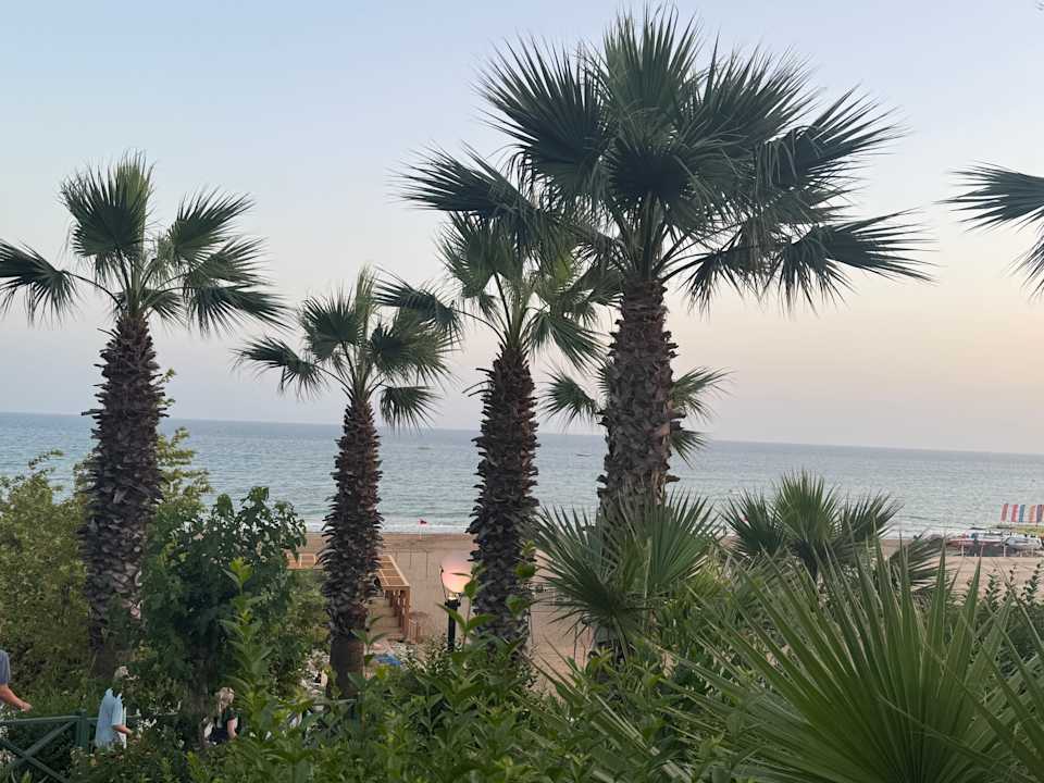 Gartenanlage Side Star Resort