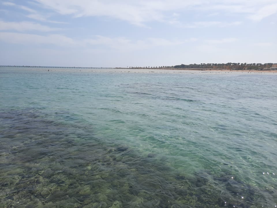 Strand Cleopatra Luxury Resort Makadi Bay