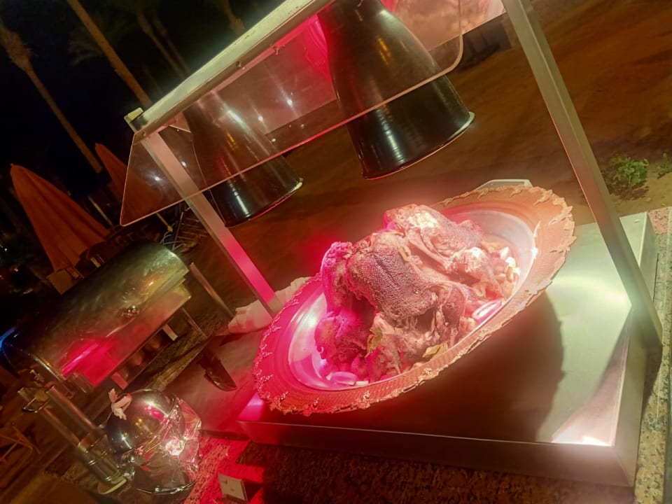 Gastro Pickalbatros Palace Hotel-Port Ghalib