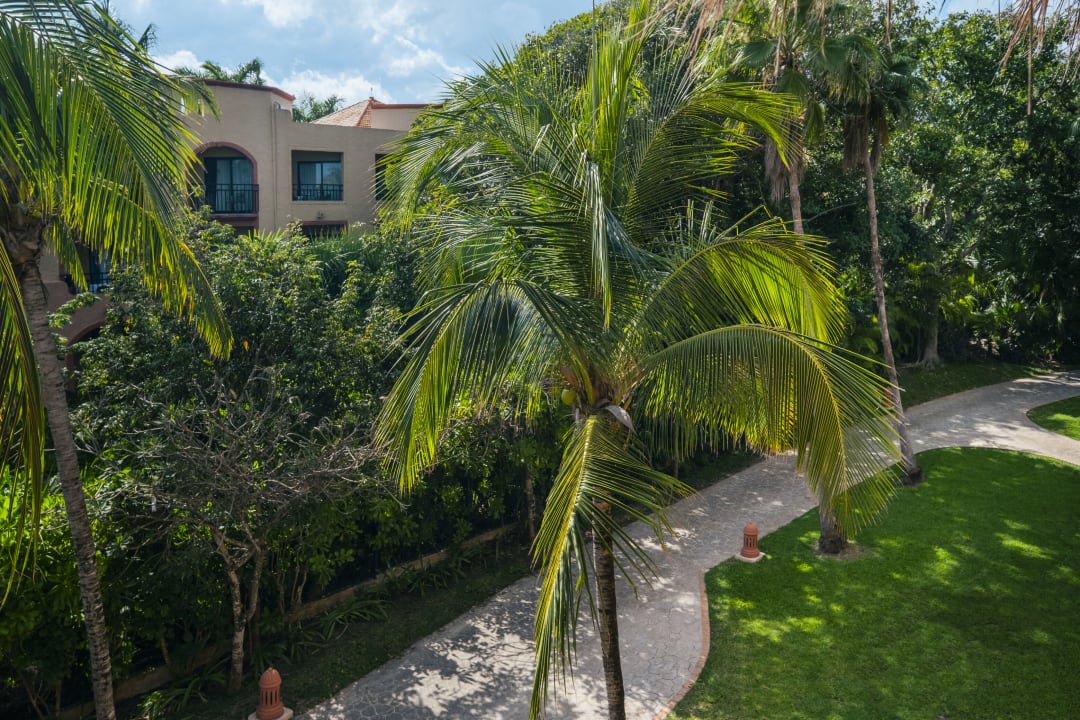 Ausblick Iberostar Waves Tucan